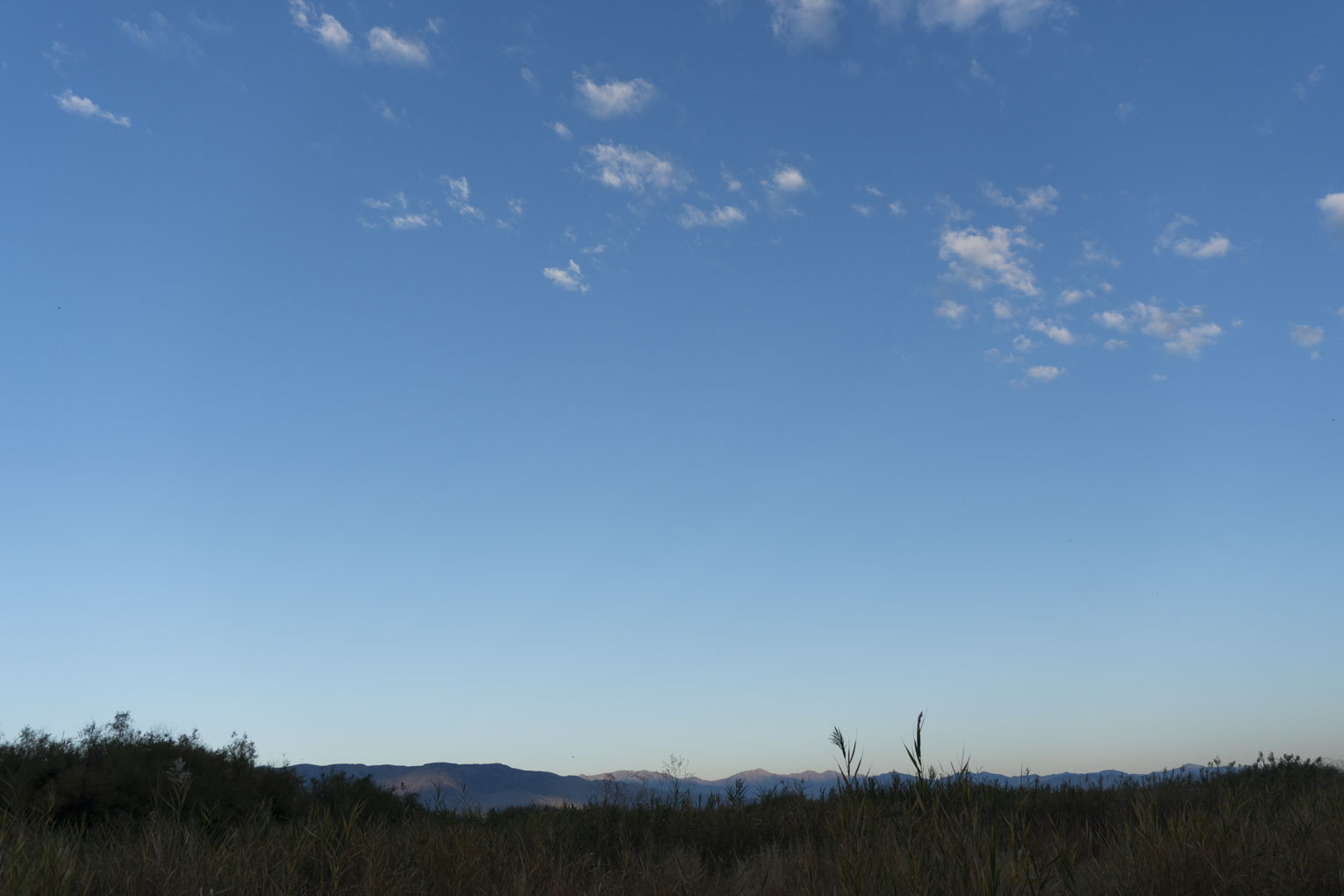 A clear blue sky above the just visible mountains hidden by some tall shaded lake grass